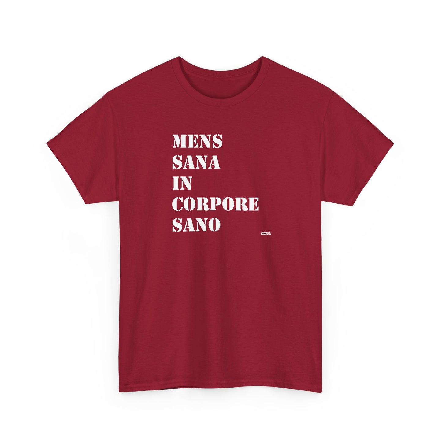 Mens Sana in Corpore Sano - Unisex Heavy Cotton Tee - Motivational Fitness Shirt - Latin Quote