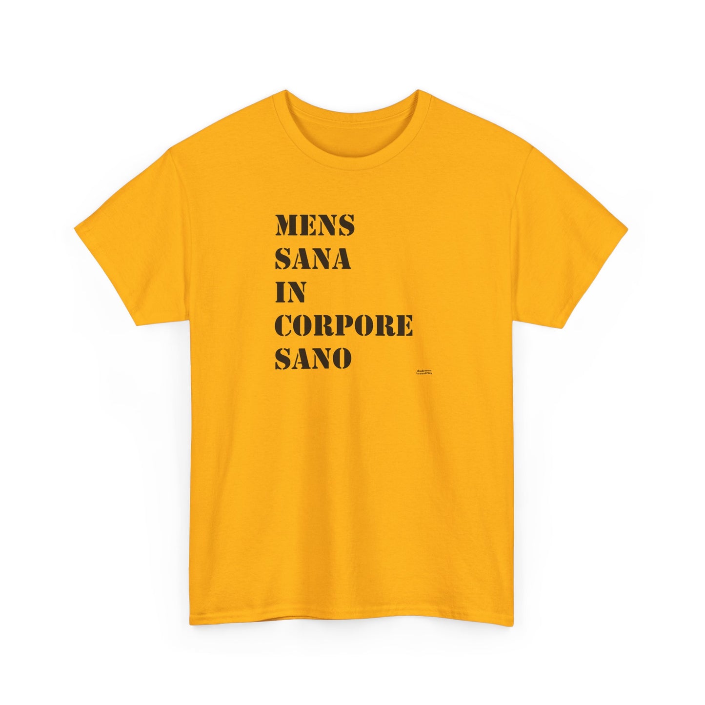 Mens Sana in Corpore Sano - Unisex Heavy Cotton Tee - Motivational Fitness Shirt - Latin Quote