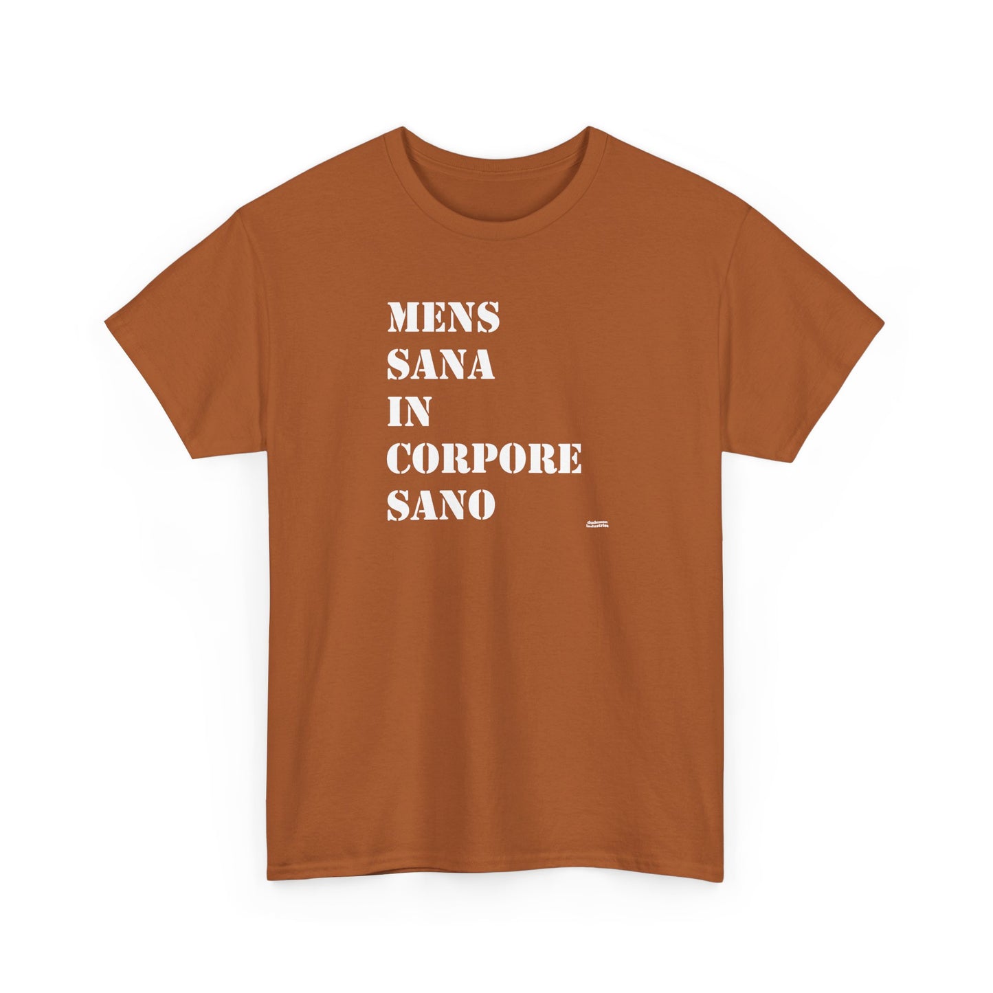 Mens Sana in Corpore Sano - Unisex Heavy Cotton Tee - Motivational Fitness Shirt - Latin Quote