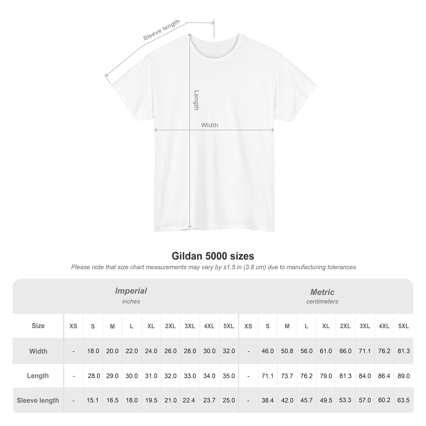 Mens Sana in Corpore Sano - Unisex Heavy Cotton Tee - Motivational Fitness Shirt - Latin Quote
